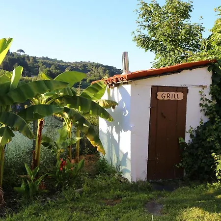 Casa Dodo Сasa de vacaciones Castro Caldelas