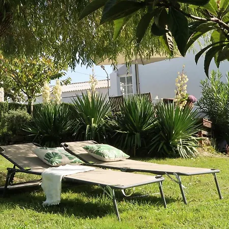 Casa Dodo