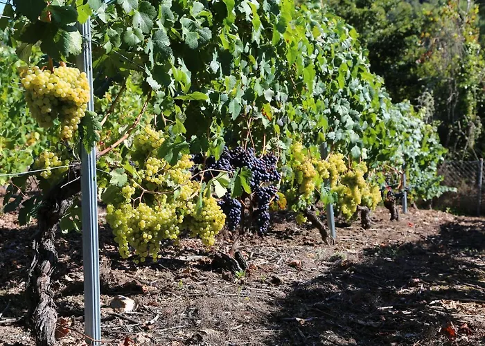 Сasa de vacaciones Casa Dodo