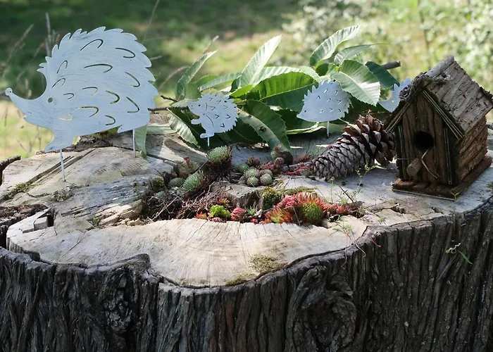 Casa Dodo * Castro Caldelas