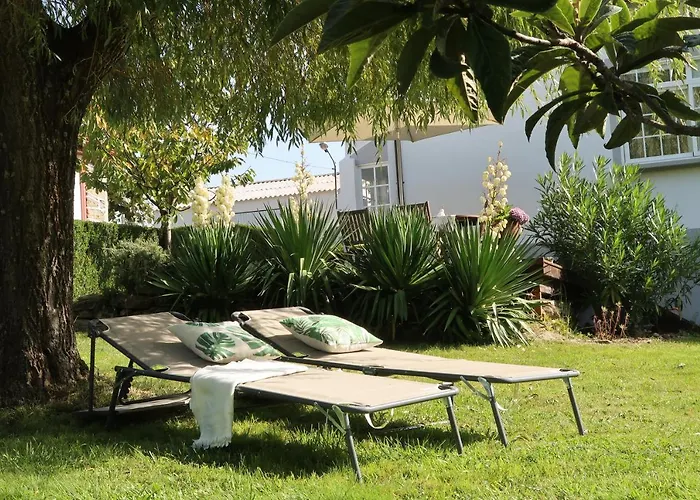 Casa Dodo