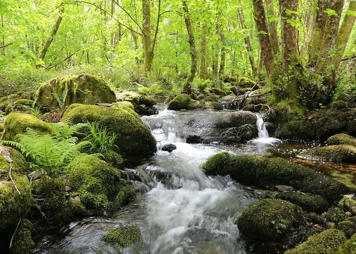 Casa Dodo * Castro Caldelas
